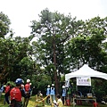 106-0624 台灣攀樹錦標賽 (46).jpg
