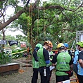 106-0624 台灣攀樹錦標賽 (88).jpg