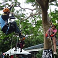 106-0624 台灣攀樹錦標賽 (94).jpg