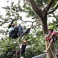 106-0624-1 台灣攀樹錦標賽 (25).jpg