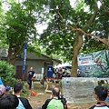 106-0625 台灣攀樹錦標賽 (48).jpg
