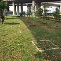 110-0329 桃園平鎮 (44).jpg