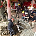 105-1005 台中列管老樹移植前斷根作業 (177).jpg