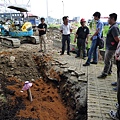 105-1005 台中列管老樹移植前斷根作業 (334).jpg