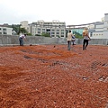 104-1024 元培醫大-綠屋頂 (60).jpg
