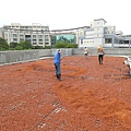 104-1024 元培醫大-綠屋頂 (68).jpg