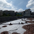 104-1024 元培醫大-綠屋頂 (120).jpg