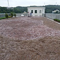 104-1024 元培醫大-綠屋頂 (165).jpg