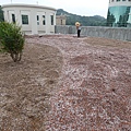 104-1024 元培醫大-綠屋頂 (161).jpg