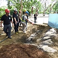105-1020 樹木基盤改善--台北列管老樹816號 (50).jpg