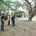105-1020 樹木基盤改善--台北列管老樹816號 (5).jpg