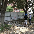 樹木與營建工程 (4).jpg