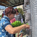 103-1022 屋頂菜園--營盤社區營造 (141).jpg