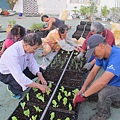 103-1022 屋頂菜園--營盤社區營造 (181).jpg