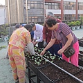 103-1022 屋頂菜園--營盤社區營造 (184).jpg