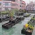 103-1022 屋頂菜園--營盤社區營造 (212).jpg
