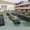 103-1022 屋頂菜園--營盤社區營造 (214).jpg