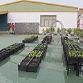 103-1022 屋頂菜園--營盤社區營造 (215).jpg