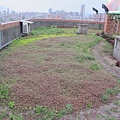 102-0318 三重順德里綠屋頂-缺乏維(2).jpg