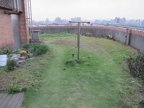 102-0318 三重順德里綠屋頂-缺乏維(4).jpg