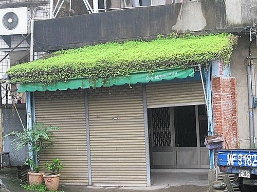 相遇森林屋 100-0515 134.jpg