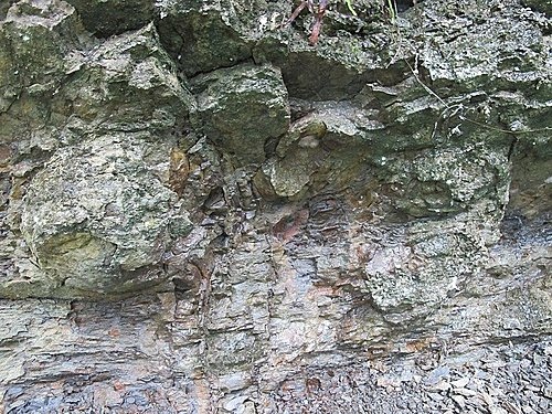 相遇森林屋 100-0515 145.jpg