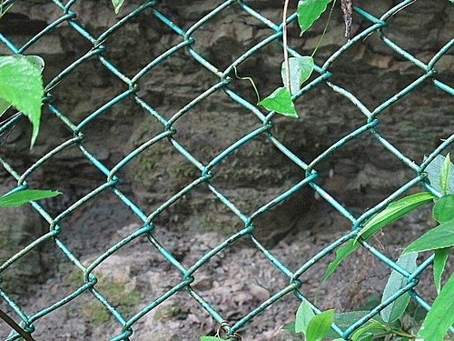 相遇森林屋 100-0515 153.jpg