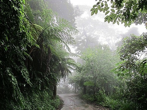 相遇森林屋 100-0515 156.jpg