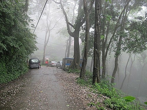 相遇森林屋 100-0515 160.jpg