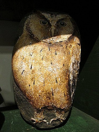 相遇森林屋 100-0515 199.jpg