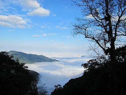 101-0130  觀霧 (3).jpg