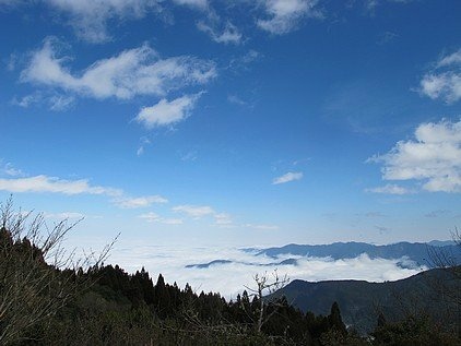 101-0130  觀霧 (94).jpg