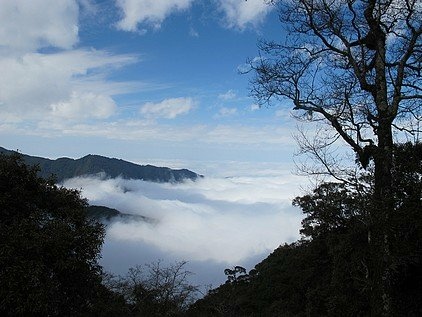 101-0130  觀霧 (96)(1).jpg