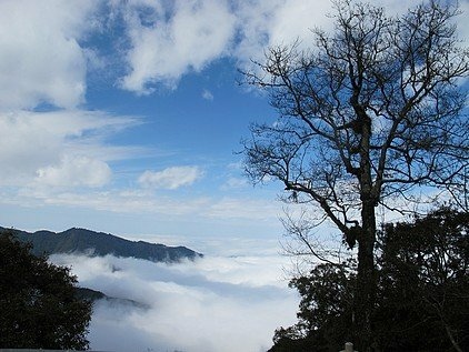 101-0130  觀霧 (97)(1).jpg