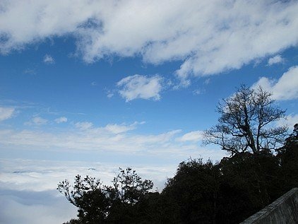 101-0130  觀霧 (99)(1).jpg