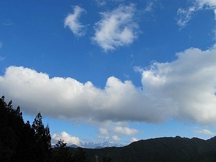 101-0130  觀霧 (183).jpg