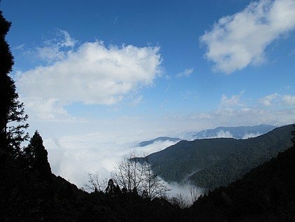 101-0130  觀霧 (262).jpg