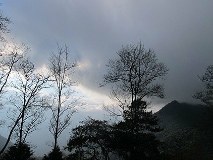 101-0130  觀霧 (239).jpg