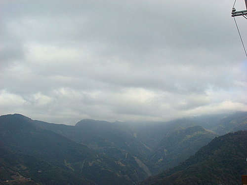 980131-065  觀霧--大鹿林道.jpg