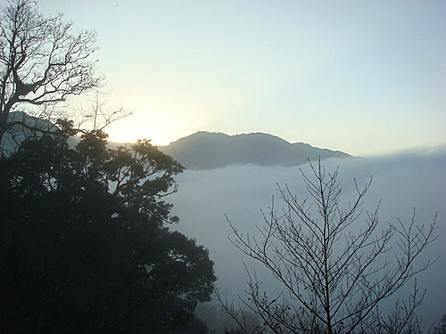 980131-118  觀霧--大鹿林道.jpg