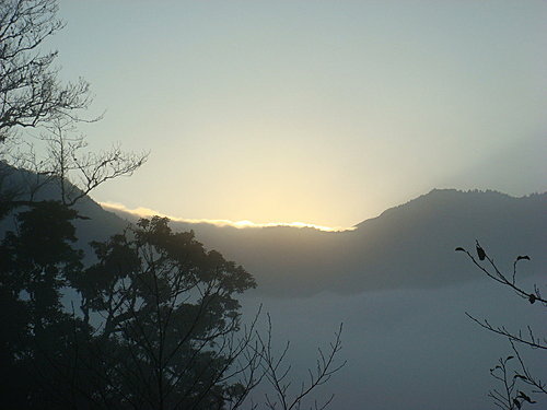 980131-117  觀霧--大鹿林道.jpg