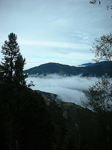 DSCN0011  大鹿林道 -- 雲海.jpg