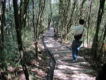 100-1021 觀霧帶隊解說 (43).jpg