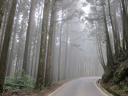 100-1021 觀霧帶隊解說 (20).jpg