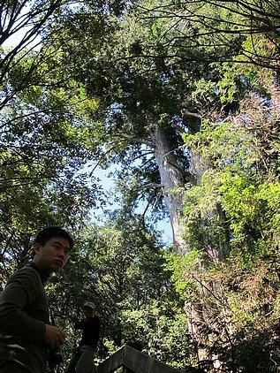 100-1021 觀霧帶隊解說 (47).jpg