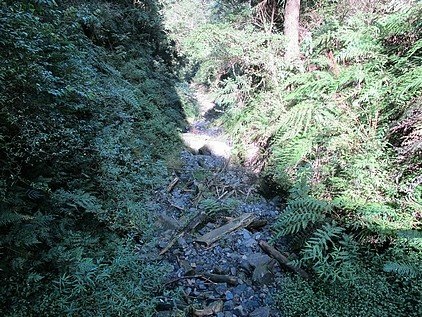 100-1021 觀霧帶隊解說 (79).jpg