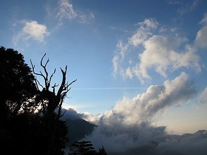 100-1021 觀霧帶隊解說 (109).jpg