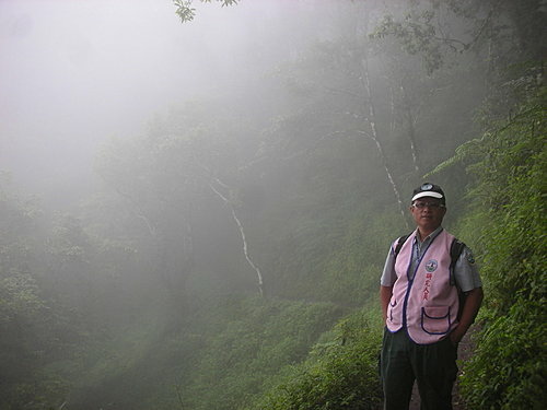 9808-017 觀霧-巨木群步道-迷霧森.jpg