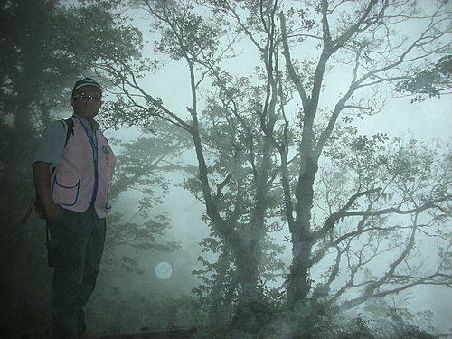 9808-018 觀霧-巨木群步道-迷霧森.jpg
