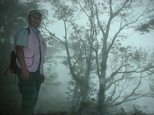 9808-019 觀霧-巨木群步道-迷霧森.jpg